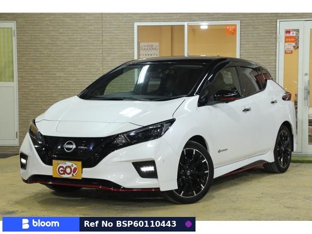 2022 Nissan Leaf