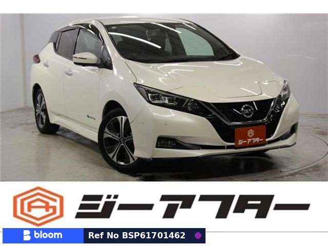 2019 Nissan Leaf