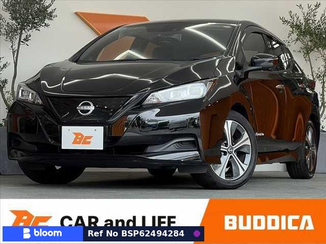 2021 Nissan Leaf