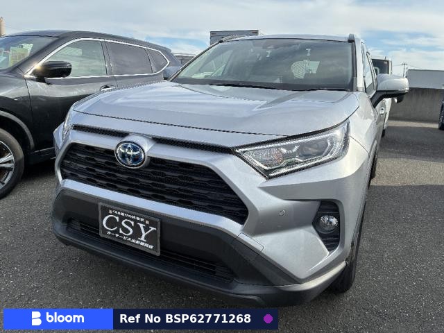 2019 Toyota RAV4