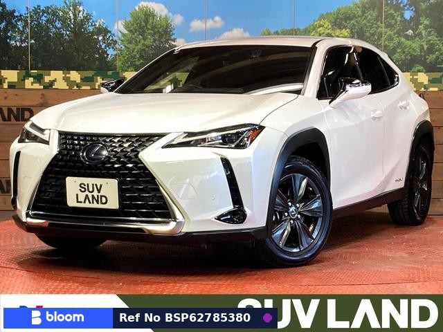 2019 Lexus UX