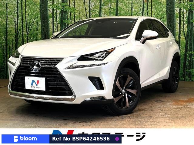 2019 Lexus NX