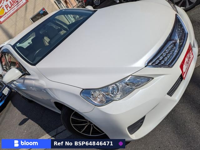 2010 Toyota Mark X