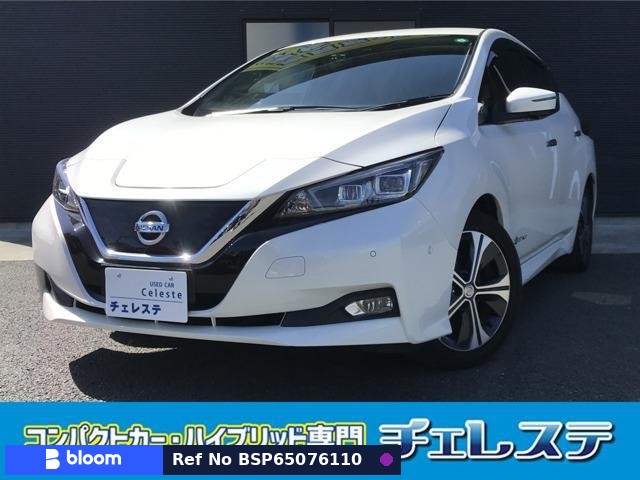 2017 Nissan Leaf