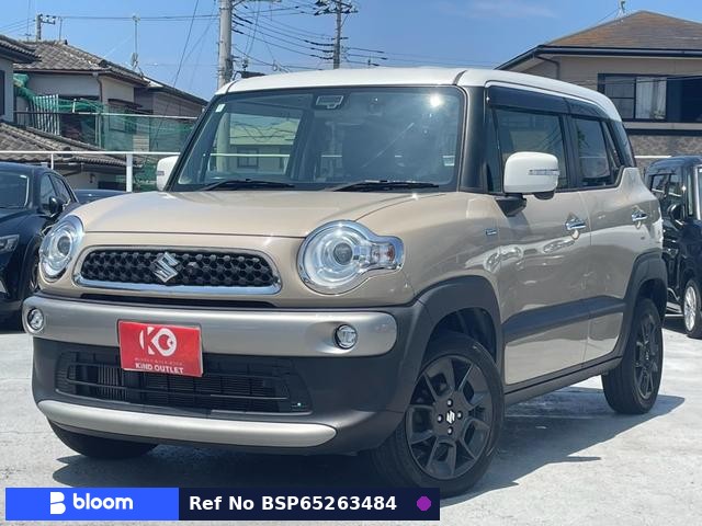 2020 Suzuki X BEE