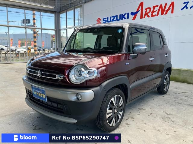2022 Suzuki X BEE