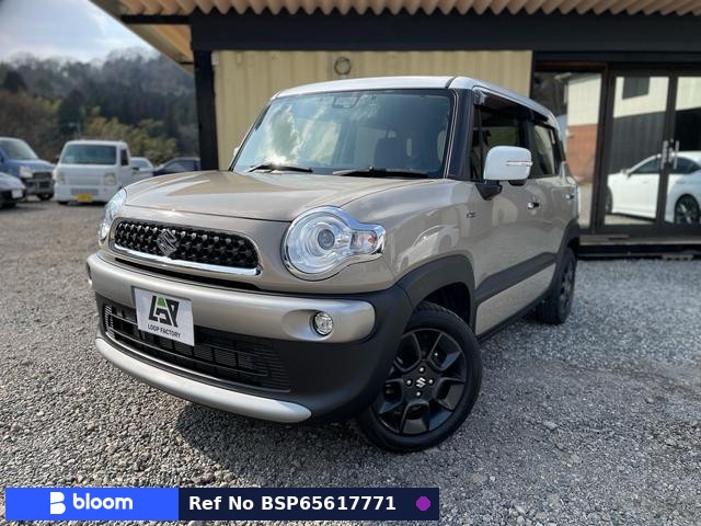 2019 Suzuki X BEE