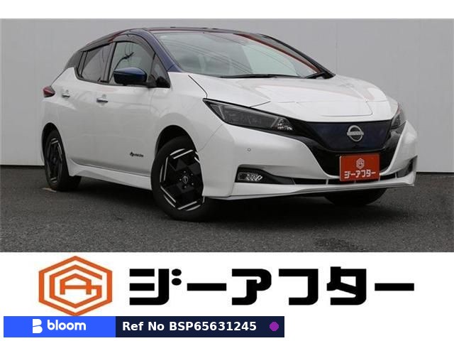 2022 Nissan Leaf