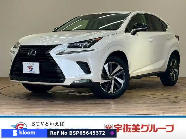2018 Lexus NX