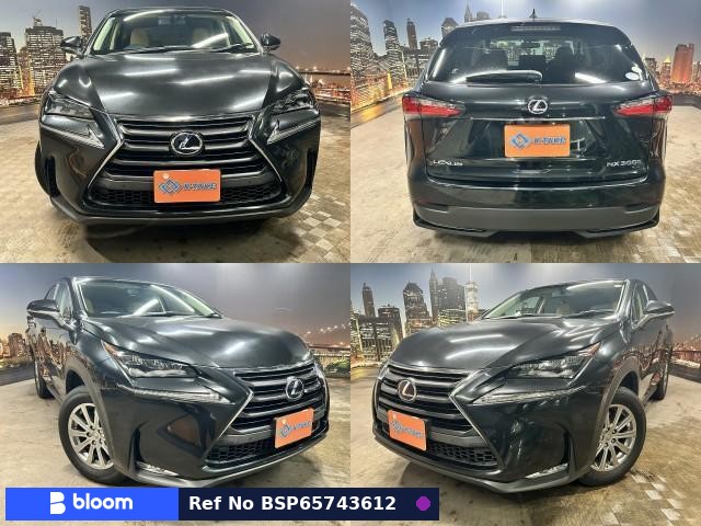 2015 Lexus NX