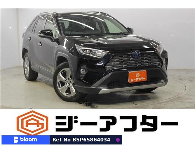 2019 Toyota RAV4