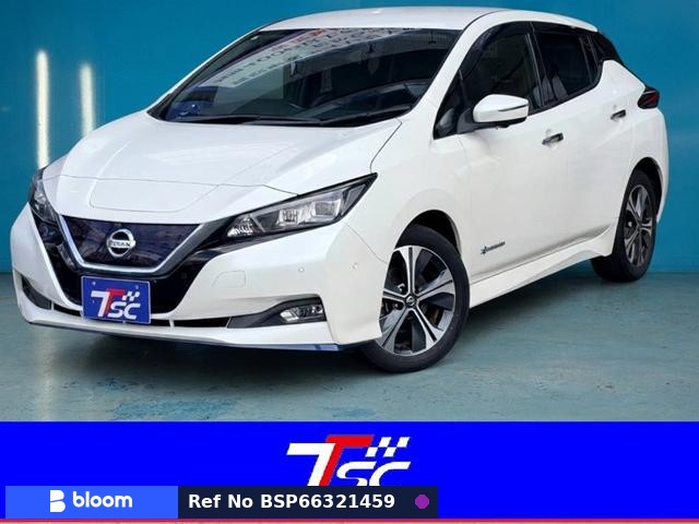 2019 Nissan Leaf