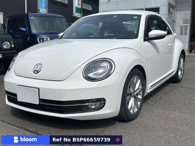 2013 Volkswagen THE Beetle