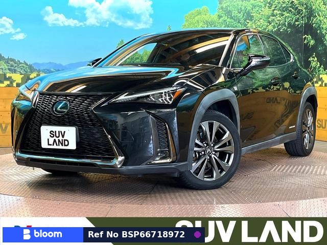 2019 Lexus UX