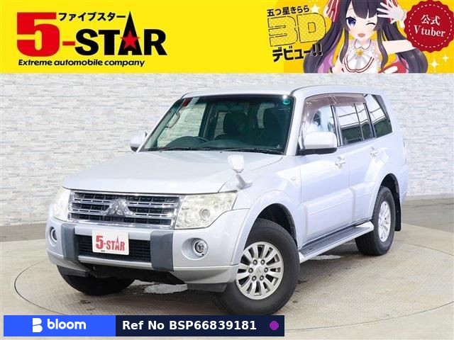 2010 Mitsubishi Pajero