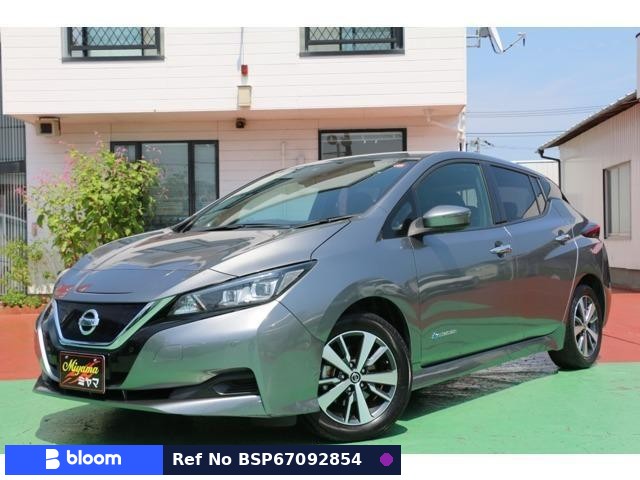 2019 Nissan Leaf