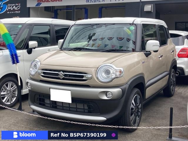 2024 Suzuki X BEE