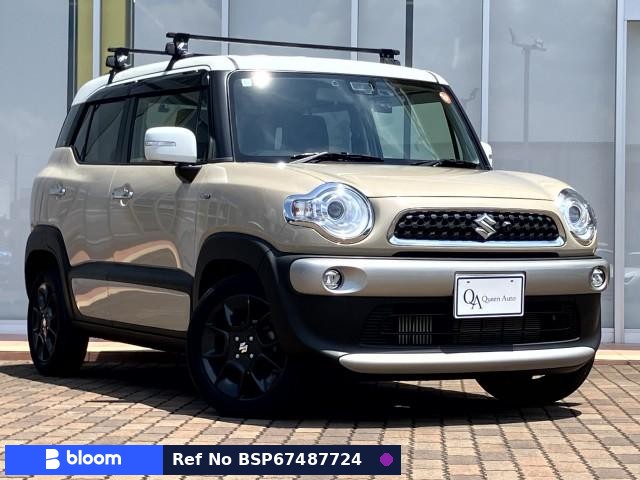 2018 Suzuki X BEE