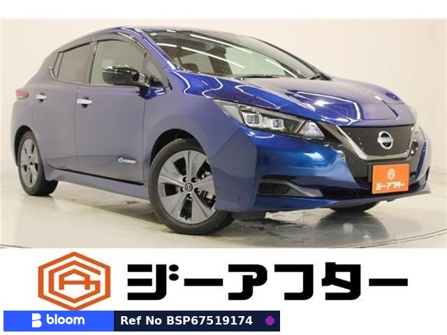 2021 Nissan Leaf