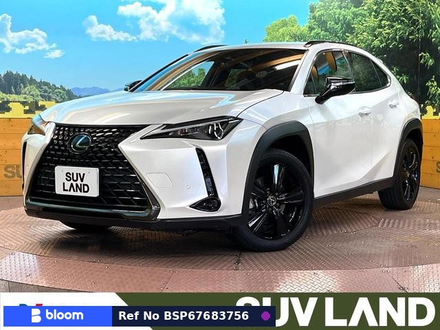 2020 Lexus UX