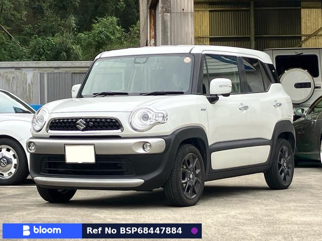 2018 Suzuki X BEE