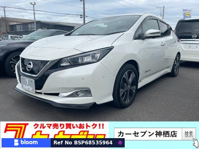 2018 Nissan Leaf