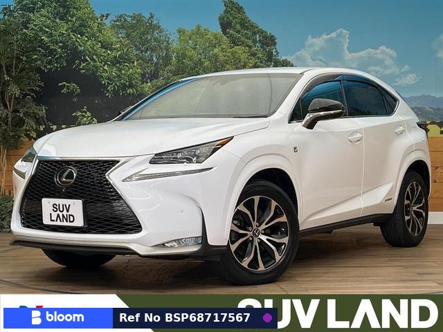 2015 Lexus NX