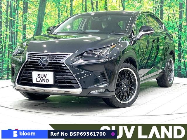 2018 Lexus NX