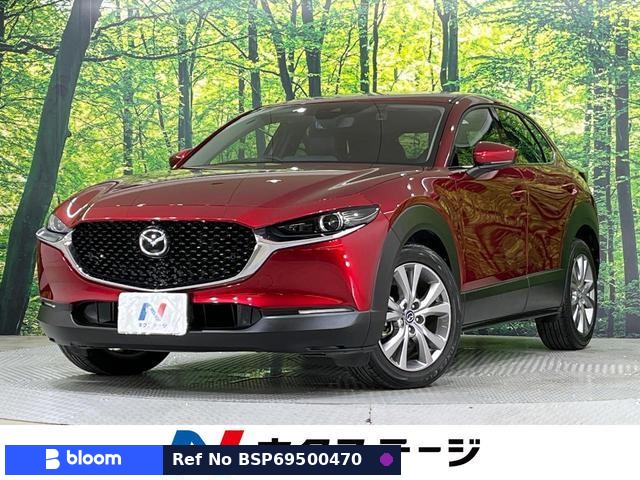 2019 Mazda CX-30