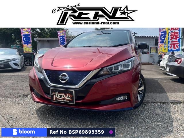 2019 Nissan Leaf