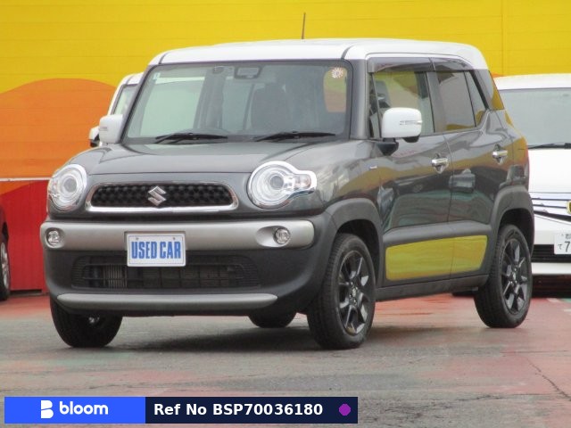 2018 Suzuki X BEE