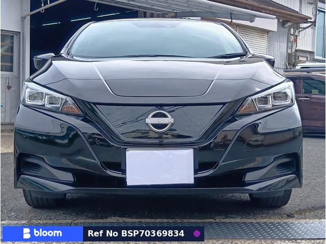 2022 Nissan Leaf