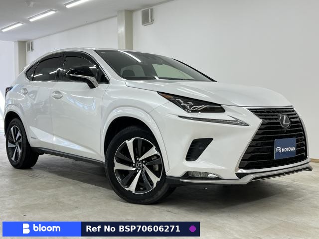 2020 Lexus NX