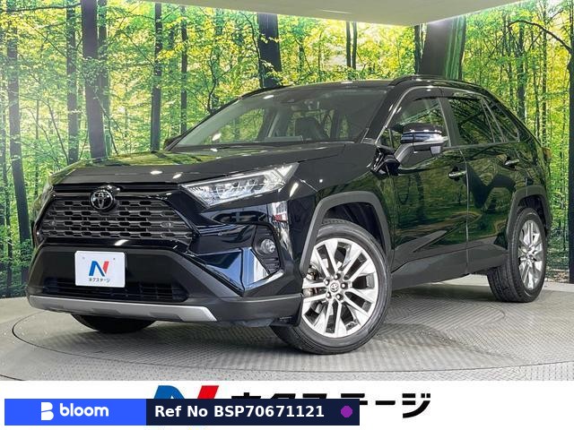 2019 Toyota RAV4