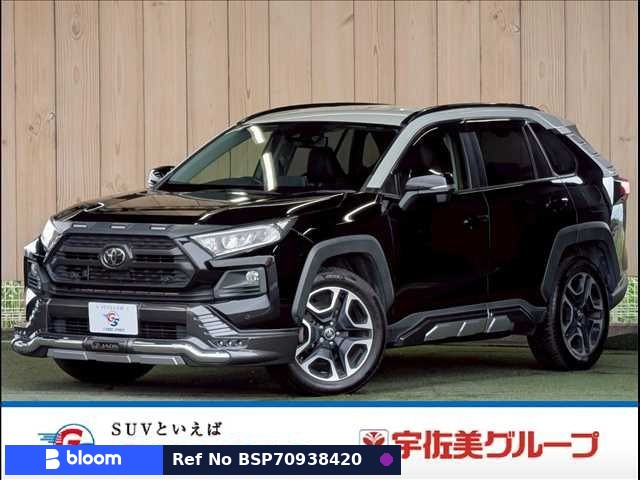 2019 Toyota RAV4