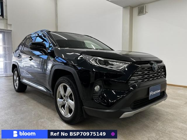 2019 Toyota RAV4