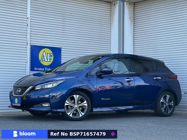 2021 Nissan Leaf