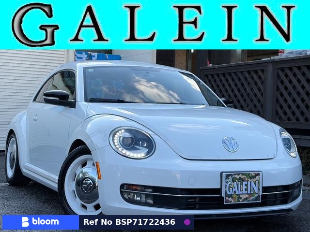 2012 Volkswagen THE Beetle