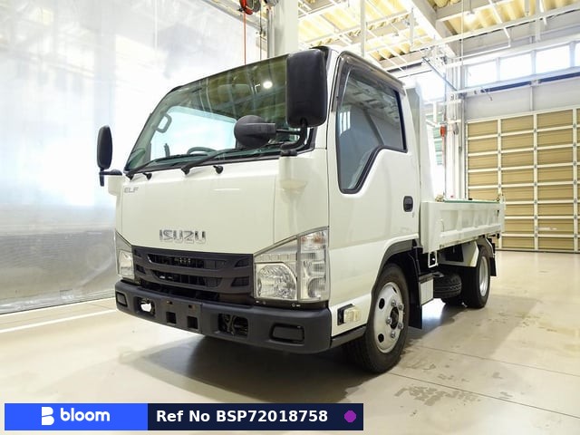 2019 Isuzu ELF Truck