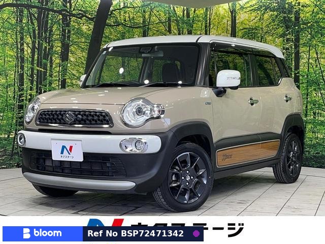 2019 Suzuki X BEE