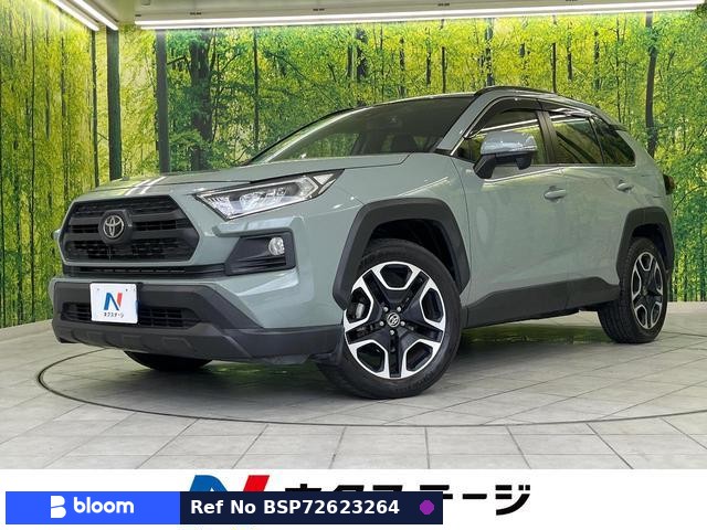 2019 Toyota RAV4