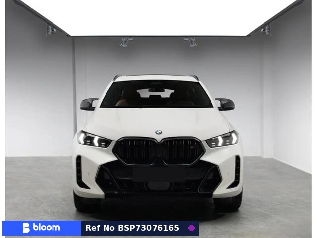 2024 BMW X6