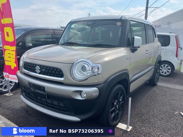2018 Suzuki X BEE