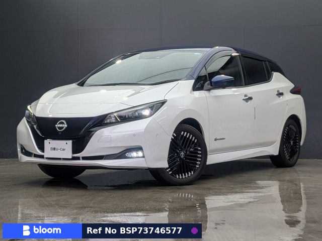 2022 Nissan Leaf