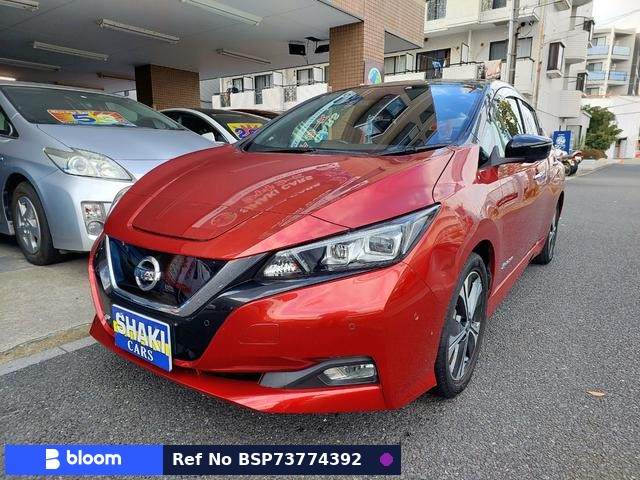 2019 Nissan Leaf