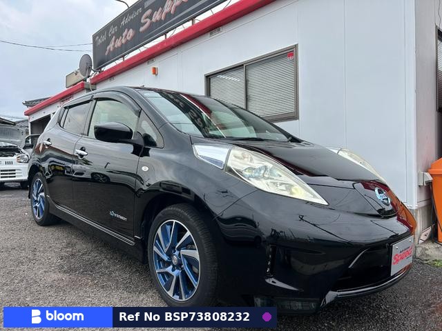 2015 Nissan Leaf