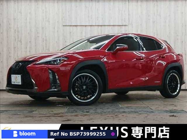 2019 Lexus UX