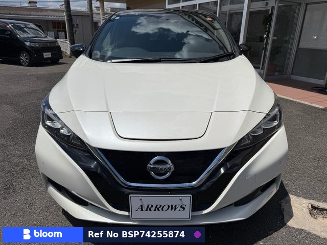 2019 Nissan Leaf