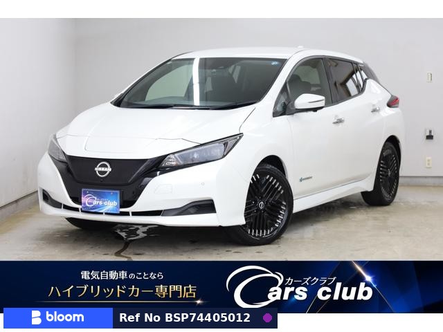 2022 Nissan Leaf