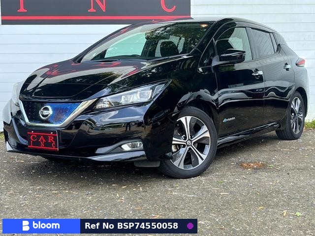 2019 Nissan Leaf